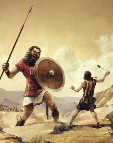 David-vs-Goliath_sm