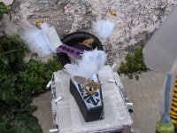 'tit Rəx 2010  "La Petite Mort"