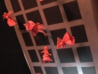 'tit Rəx 2011 "Too Little, Too Late"