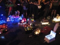 'tit Rəx 2011 "Too Little, Too Late"