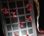 'tit Rəx 2011 "Too Little, Too Late"