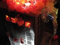 'tit Rəx 2011 "Too Little, Too Late"