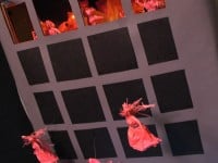 'tit Rəx 2011 "Too Little, Too Late"