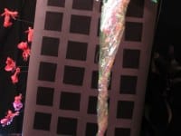 'tit Rəx 2011 "Too Little, Too Late"