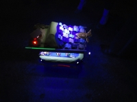 'tit Rəx 2011 "Too Little, Too Late"