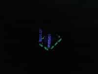 8078721300_41979ac47a_b