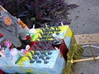 8078748914_54d1df3f20_b