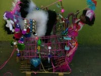 8078751279_5bb9d69884_b