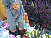 8078756863_ca26814c7d_b