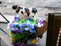 8078757922_b287d5ab81_b