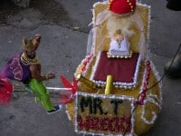 8078762200_a2b01b8b26_b