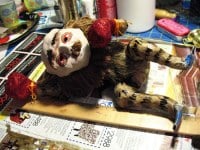 8536970301_548e57690d_b