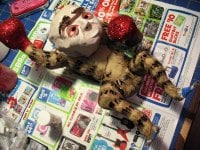 8536971663_fbcd5c4429_b