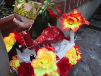 'tit Rəx 2012  "Napoleon Avenue Complex"