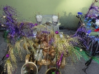 'tit Rəx 2012  "Napoleon Avenue Complex"