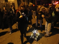 'tit Rəx 2012  "Napoleon Avenue Complex"