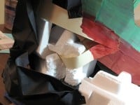 ‘tit Rəx 2009  “Tiny Victories”