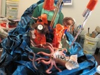 ‘tit Rəx 2009  “Tiny Victories”