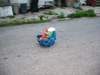 ‘tit Rəx 2009  “Tiny Victories”