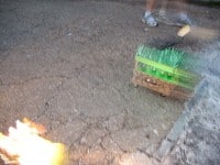 ‘tit Rəx 2009  “Tiny Victories”