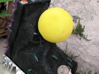 ‘tit Rəx 2009  “Tiny Victories”