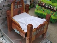 ‘tit Rəx 2009  “Tiny Victories”