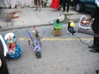 ‘tit Rəx 2009  “Tiny Victories”