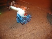 ‘tit Rəx 2009  “Tiny Victories”