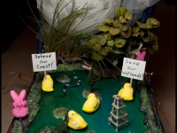 'tit Rǝx 2014 - "Wee The People"