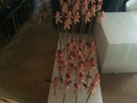 2016 Parade - 'No Big Deal'