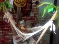 2017 'tit Rǝx Takes a Nap