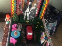 2017 'tit Rǝx Takes a Nap