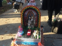 2017 'tit Rǝx Takes a Nap