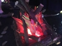 'tit Rǝx 2018 - 'X'