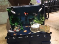 'tit Rǝx 2018 - 'X'