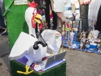 'tit Rəx 2019 - courtesy of RHR Photography