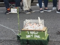 'tit Rəx 2019 - courtesy of RHR Photography