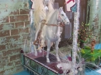 'tit Rəx 2019 - "A Modicum of Decency"