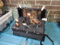 'tit Rəx 2019 - "A Modicum of Decency"