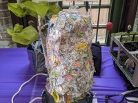 \'tit Rəx 2020 - That\'s A Little Much