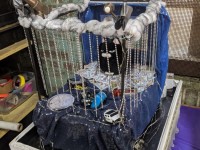 \'tit Rəx 2020 - That\'s A Little Much