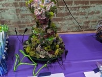 'tit Rəx 2020 - That's A Little Much