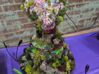 'tit Rəx 2020 - That's A Little Much