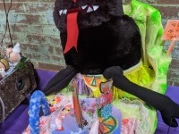 'tit Rəx 2020 - That's A Little Much