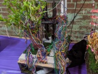 'tit Rəx 2020 - That's A Little Much