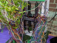 'tit Rəx 2020 - That's A Little Much