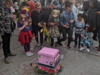 'tit Rəx 2020 - That's A Little Much