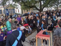 'tit Rəx 2020 - That's A Little Much