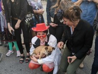 'tit Rəx 2020 - That's A Little Much