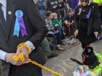 'tit Rəx 2020 - That's A Little Much